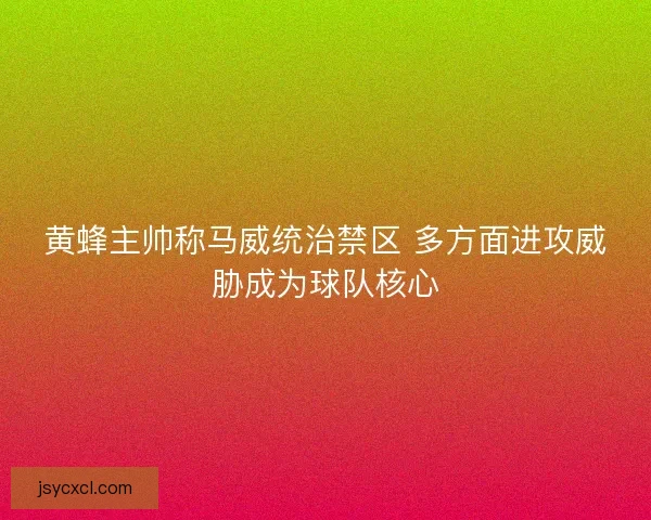 黄蜂主帅称马威统治禁区 多方面进攻威胁成为球队核心 黄蜂主帅称马威统治禁区 多方面进攻威胁成为球队核心